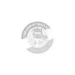 Classic Mushroom Chips Garlic (80g)